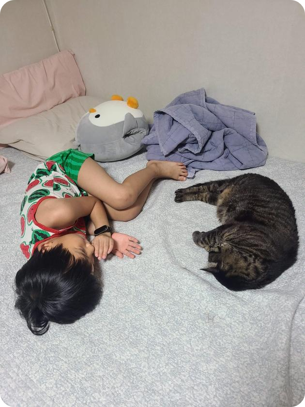 아이와 고양이는 좋은 친구이다.