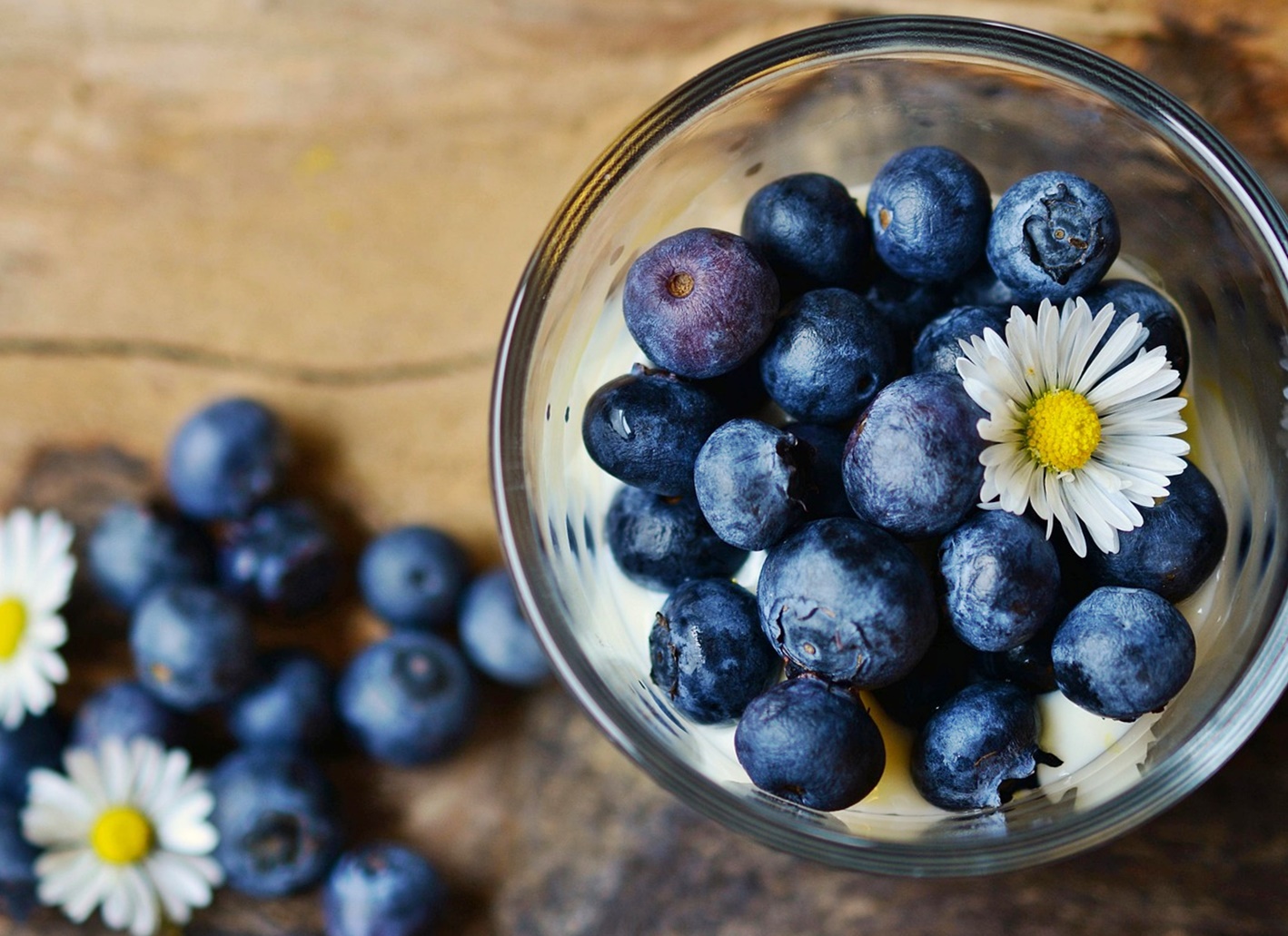 췌장은 왜 ‘회복이 느린 장기’일까!