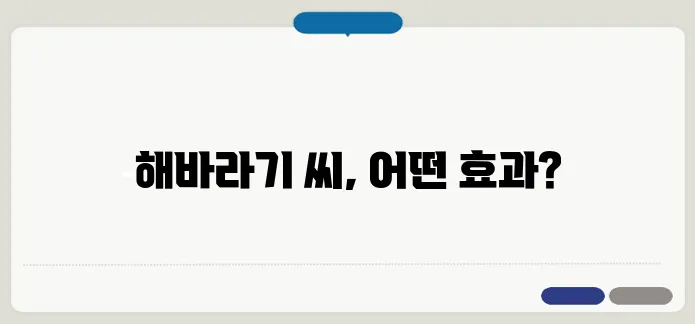 해바라기 씨 효능과 부작용 고혈압 환자는 주의해야 할까