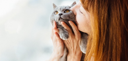 고양이에게 키스하는 여자.