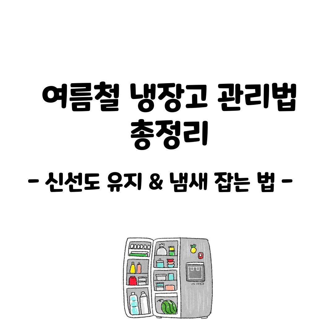 여름철 냉장고 관리법 총정리 – 신선도 유지 & 냄새 잡는 법