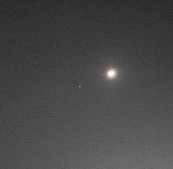 행복-호르몬-부족-증상-해결-방법