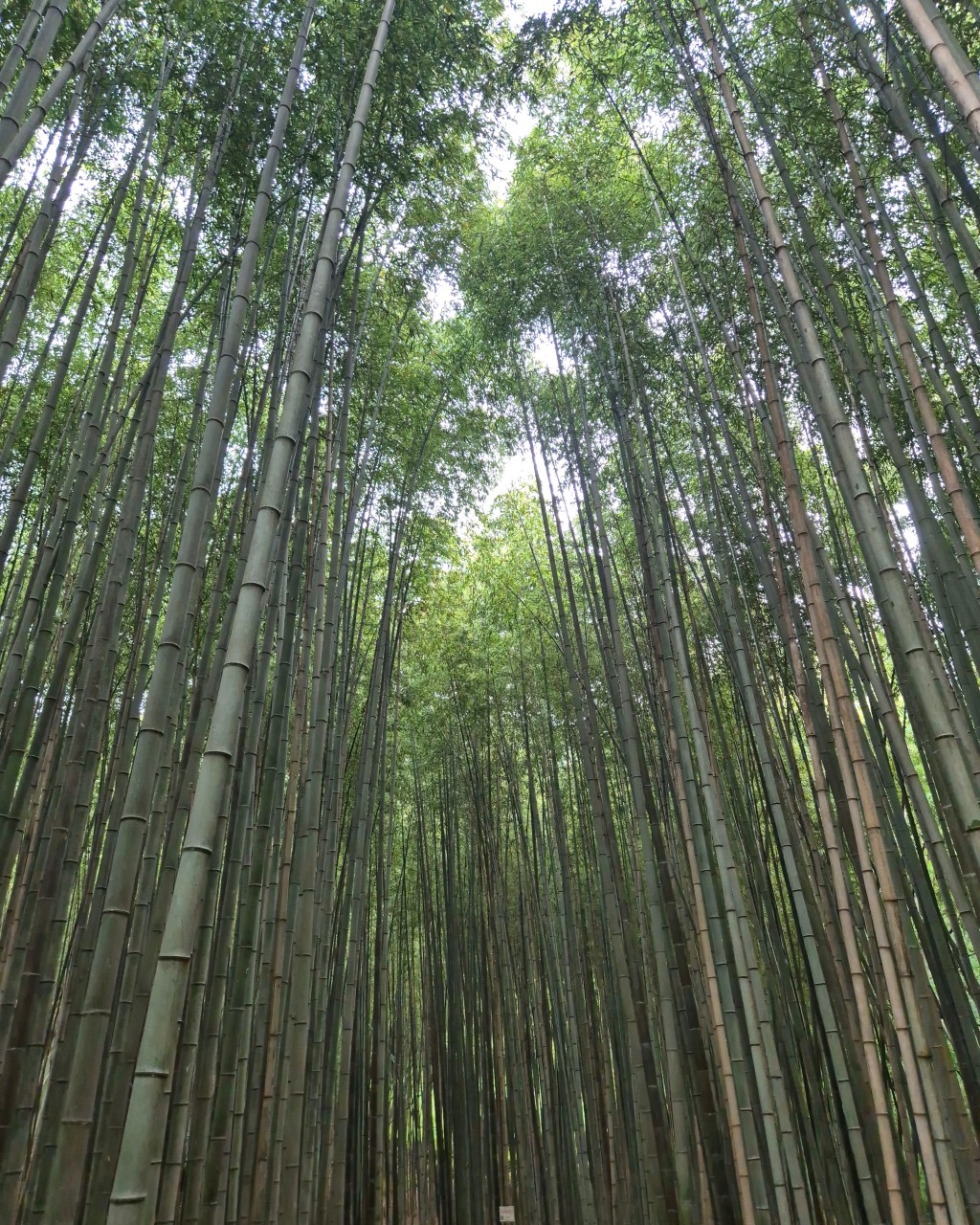 창녕 가볼만한곳 베스트10