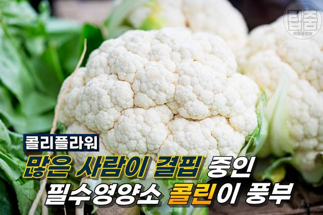 콜리플라워 맛있게 먹는법 콜레스테롤 낮추는 음식