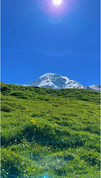 스위스 융프라우 37번 하이킹 코스 후기 아이거글래처에서 클라이네샤이덱까지 걷기로 기록_7