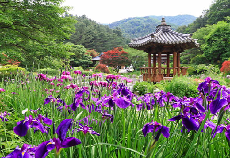 아침고요 수목원