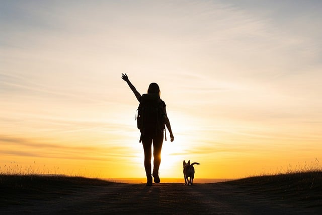 의식적인 걷기의 의미와 효과