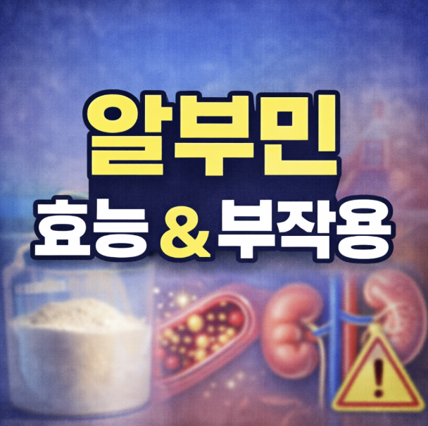 알부민 효능