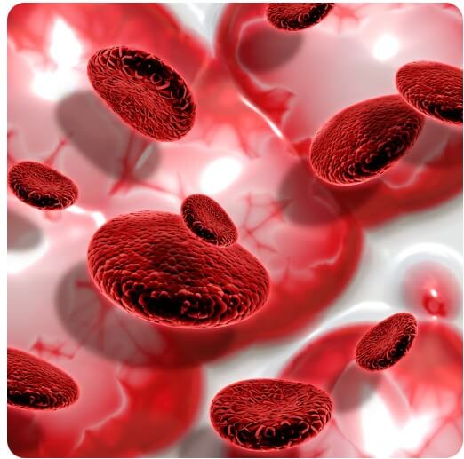 혈관 속 콜레스테롤 수치를 보여주는 모습