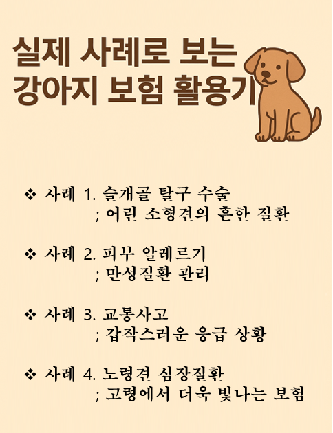 실제 사례로 보는 강아지 보험 활용기 이미지
