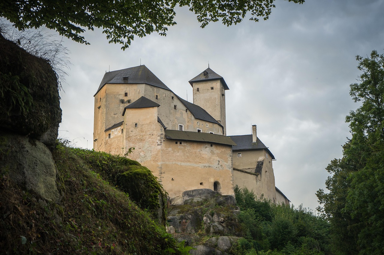 중장년 경력지원제