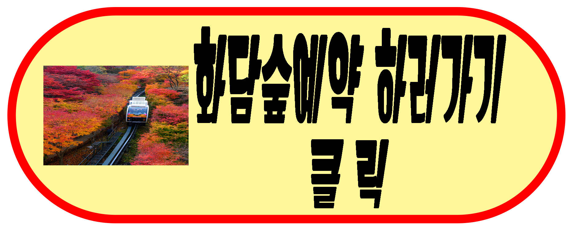 예약하러가기