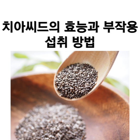 치아씨드의 효능과 부작용&#44; 섭취 방법