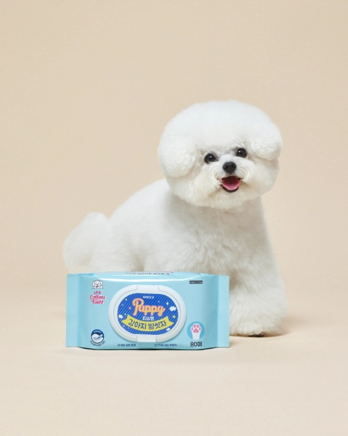 시리우스 &amp;lt;강아지 발씻자 티슈형&amp;gt; 출시! [사용 용도 주요 성분 반려견 산책 용품 가격]