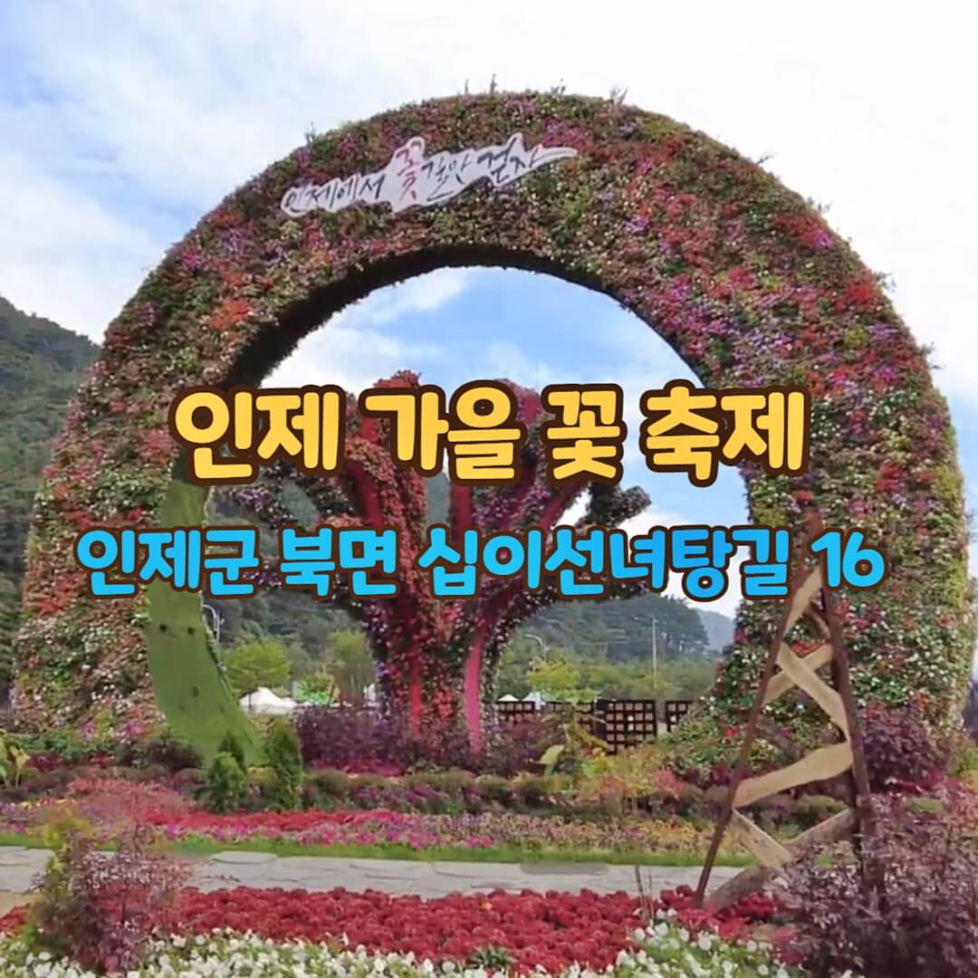 가을꽃축제
