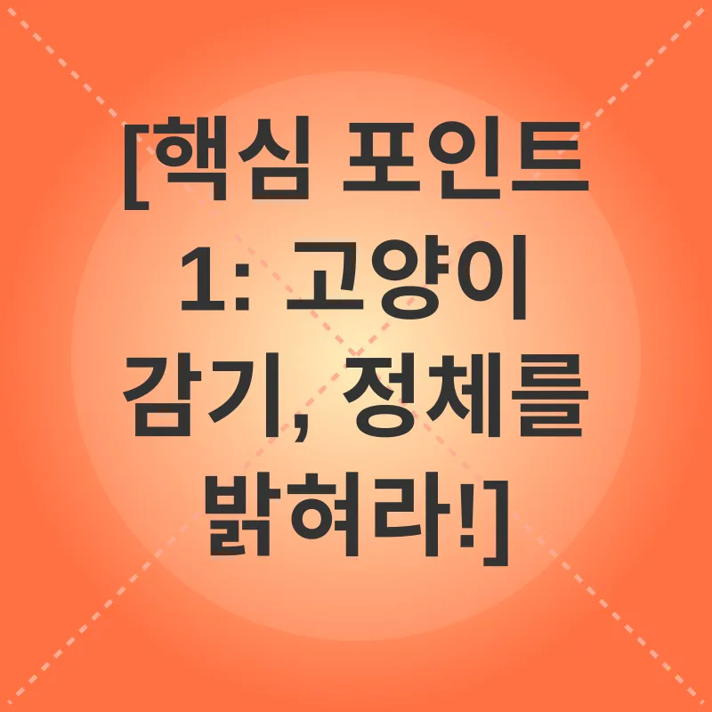 고양이 감기_1