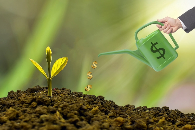 Asset Management Dividend ETF