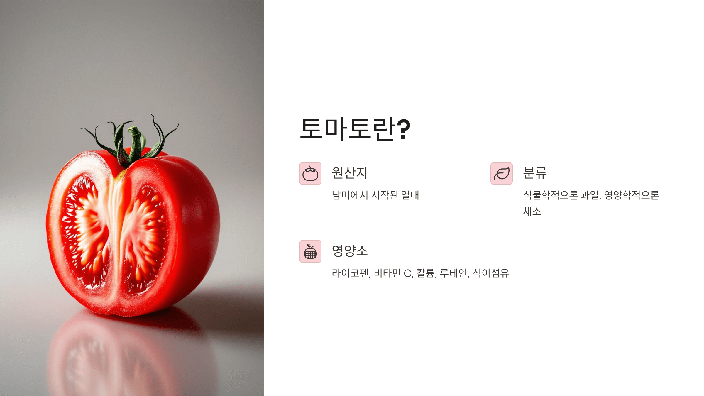 토마토 사진입니다.