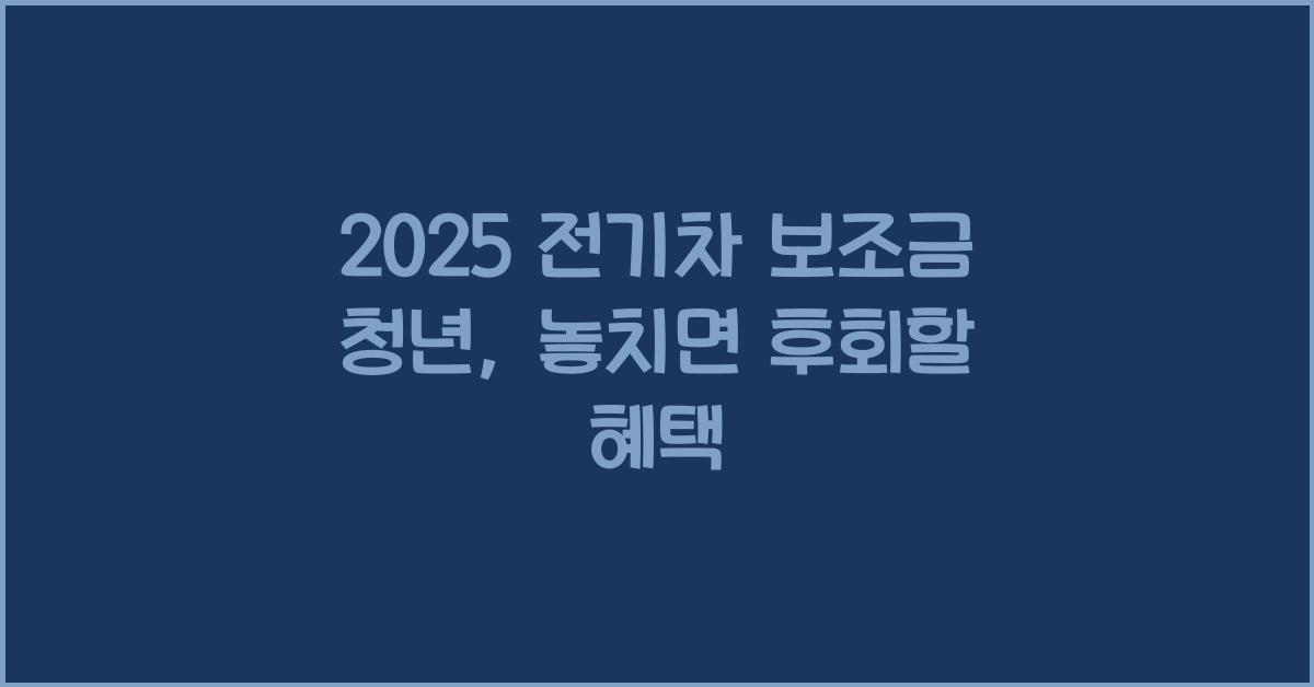 2025 전기차 보조금 청년