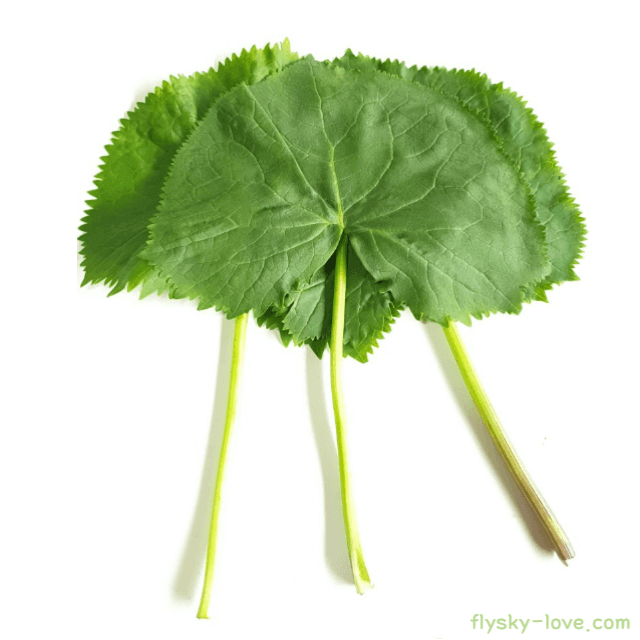 곤달비 고르는 법