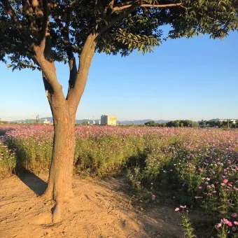 경산 가볼만한곳 베스트10 현지인 추천 필수코스_22