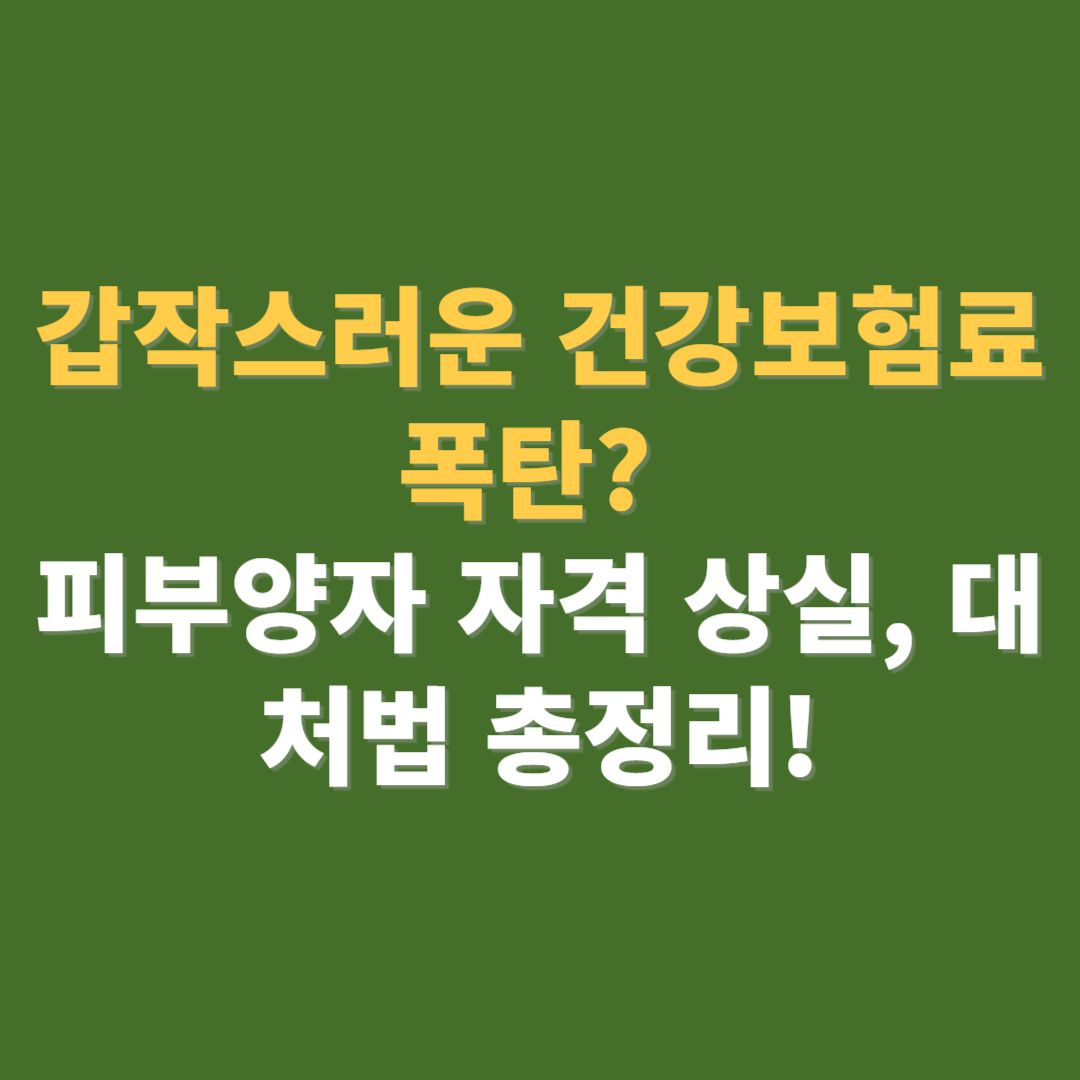 갑작스러운 건강보험료 폭탄 피부양자 자격 상실 대처법