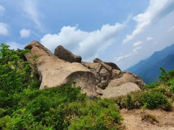 소백산 비로봉 연화봉 등산 완벽 산행코스 소요시간 주차팁과 철도 정보_23