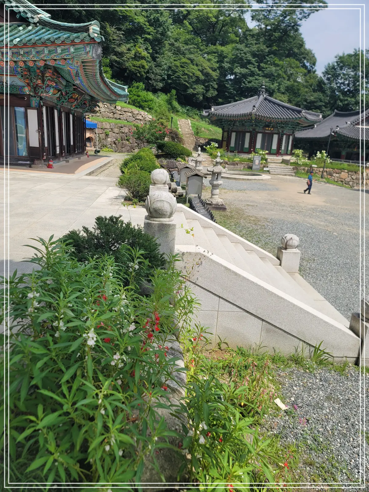 용문사-20250808_140131