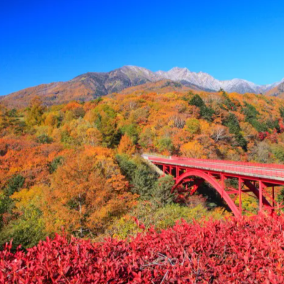 일본 가루이자와 여행 관련 사진