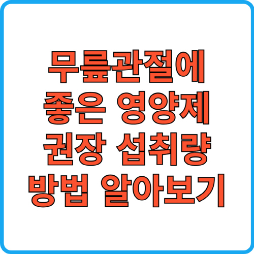무릎관절에 좋은 영양제 권장 섭취량 방법 알아보기