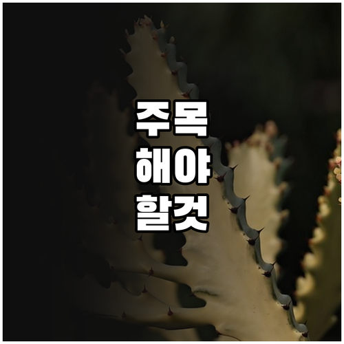 2025 모자보건사업 신청 어디서 예..