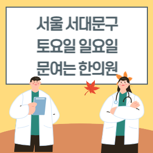 서울 서대문구 토요일 일요일 한의원 진료 병원 리스트