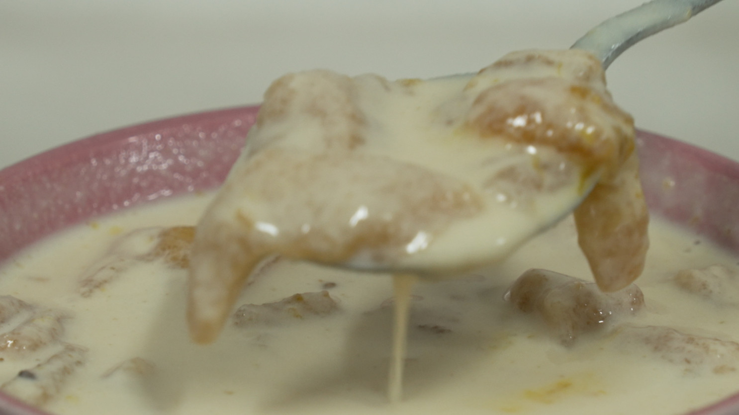 한국기행 대구 콩국