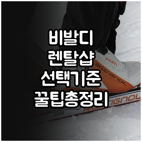 비발디파크 렌탈샵 선택 기준과 고객센..