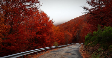 2024년 가을여행 숙박비 정부 지원비 3만원 받기, 사용방법
