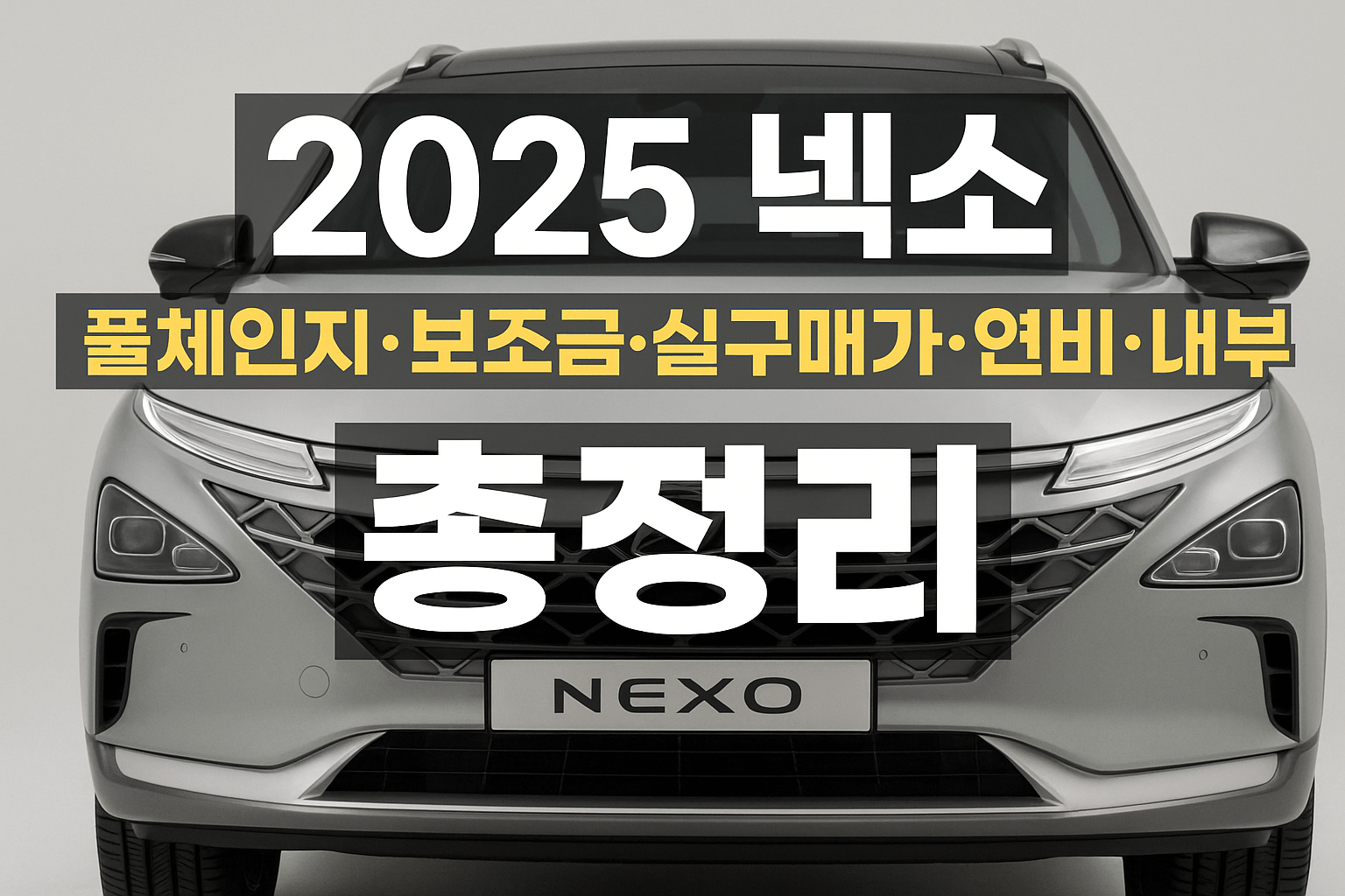 넥쏘 충전소 위치 안내 지도