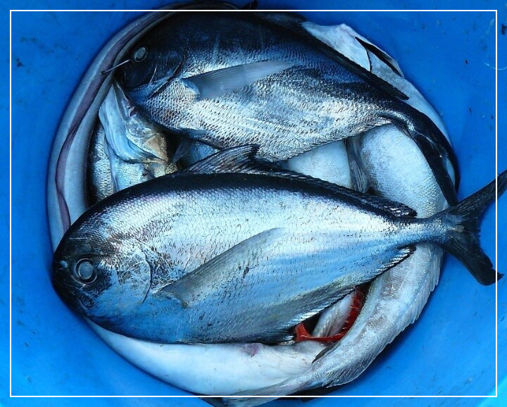 통풍에 해로운 음식