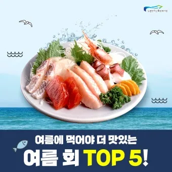 여름 회 추천과 여름철 횟감 여름 제철 회와 생선 정보_3