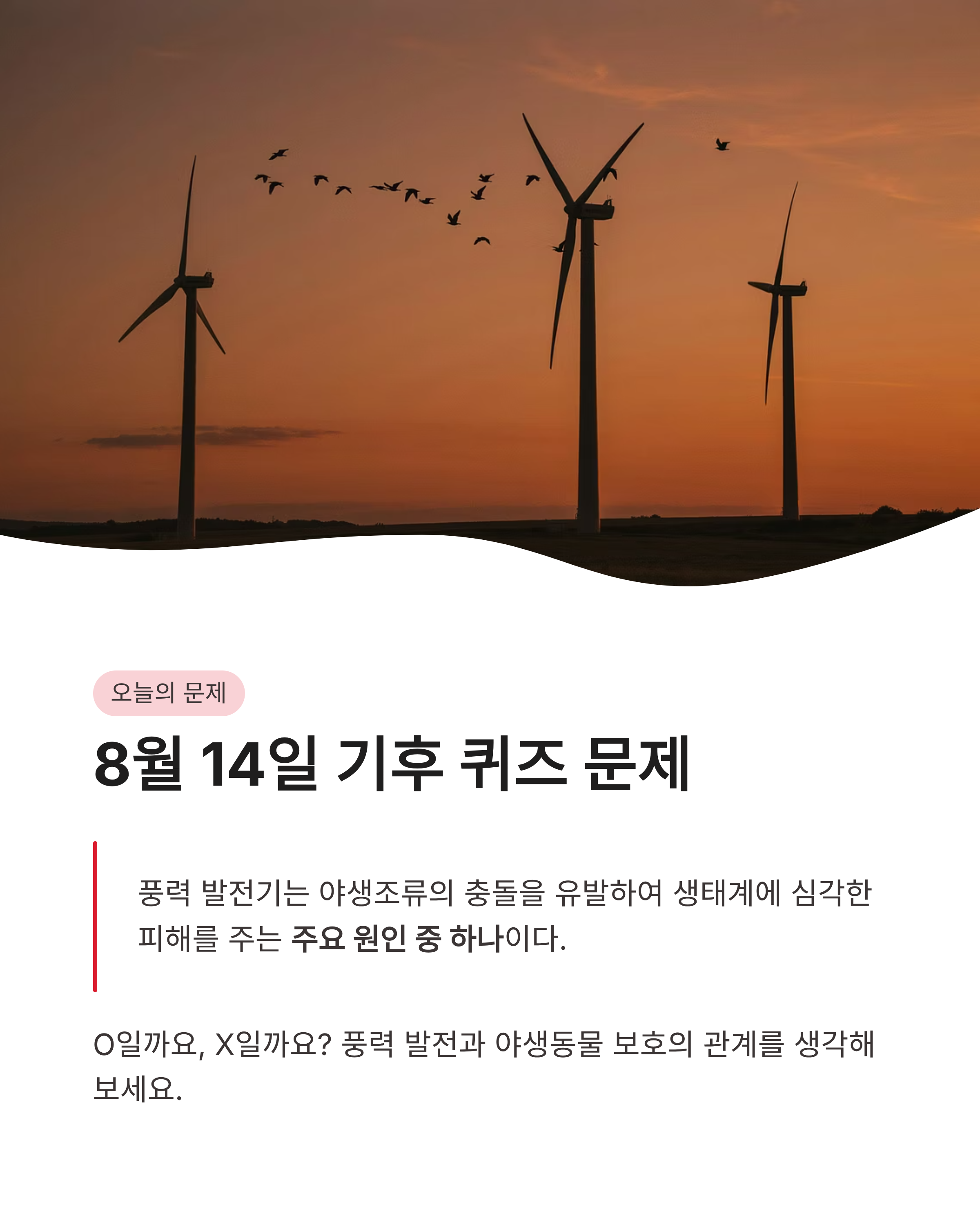 8월 14일 기후동행(기후행동) 퀴즈정답 완벽정리!!기후 퀴즈 정답 바로 확인