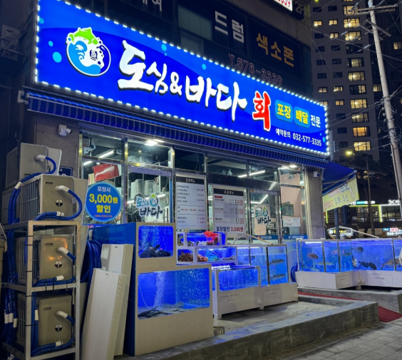 생생정보 2489회 인천 회정식 12,000원 도심앤바다 루원시티점