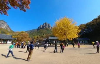 청송 주왕산 여행 코스 폭포 산책 주차 가을 단풍 포인트_9