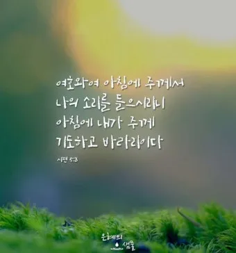 천주교 새벽을 시작하는 은총의 아침기도문 모음_15