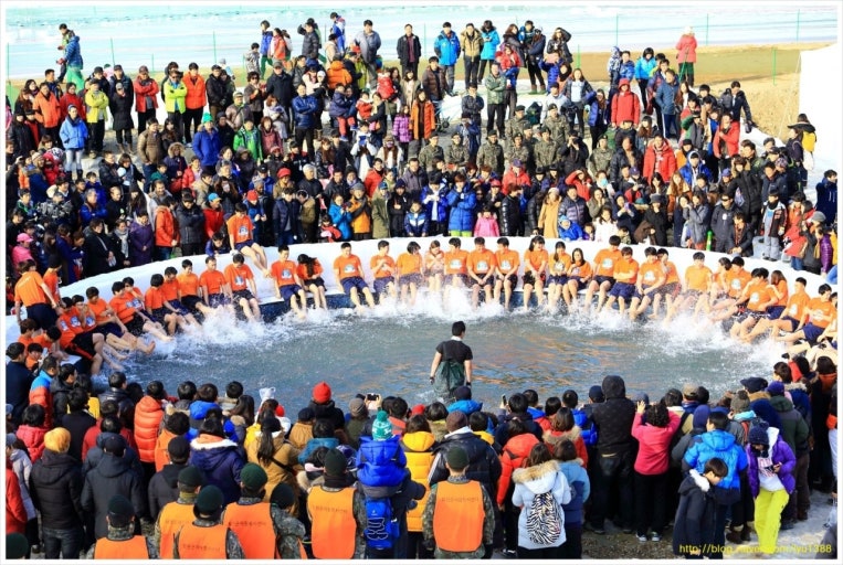 강원도 축제