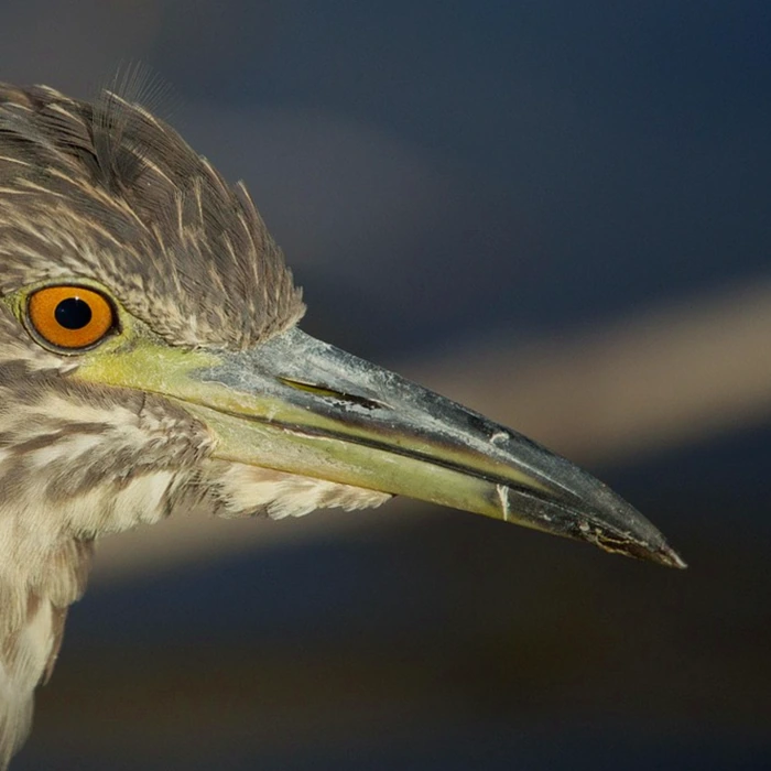 블랙박스 위치 선정