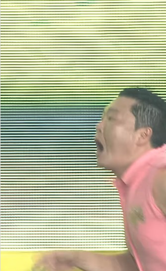 싸이 흠뻑쇼