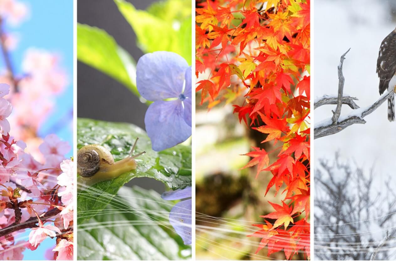 24절기 여름절기