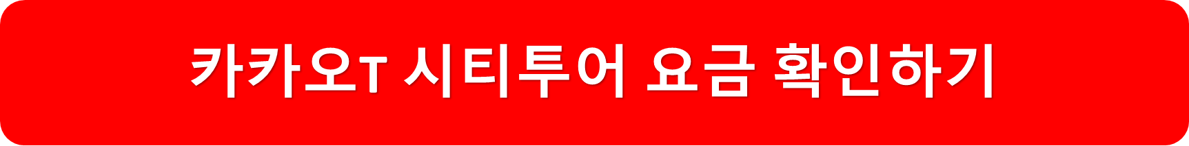 카카오T