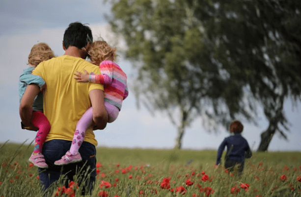 마이데이터로 내 보험료가 안 보이는 이유