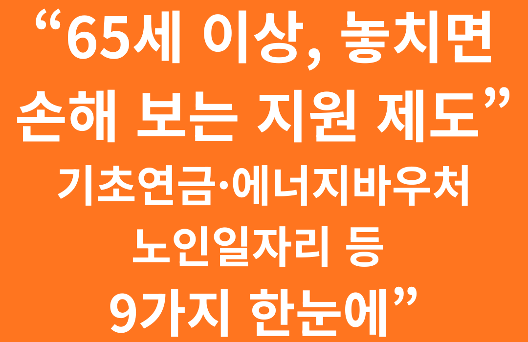 65세 이상 어르신이라면 꼭 알아두셔야 할 정부지원제도 9가지 (요건·혜택·신청 한 번에)
