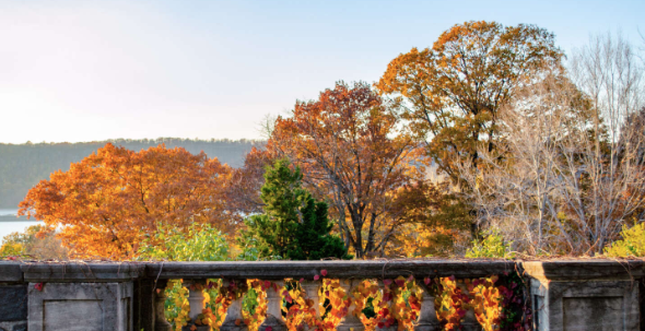 웨이브 힐 (Wave Hill) 단풍